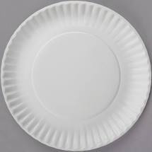 EMP9PPUC PAPER PLATE 9" UNCOATED  (10/100/CS)