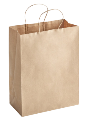 BAG10513BR BROWN  SHOPPER (ROPE HANDLE) (1200110) 10 X 5 X 13 ( 250 )
