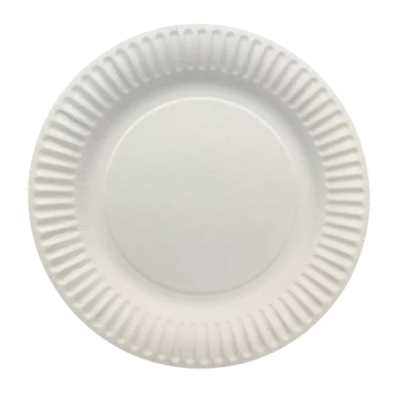 PP23500 PAPER PLATE COATED 7" WHITE   2/250/CS