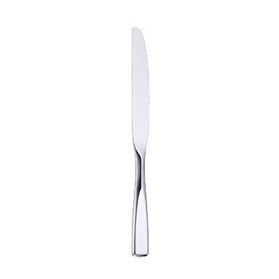 TID01DKN TIDAL DINNER KNIFE   DZ