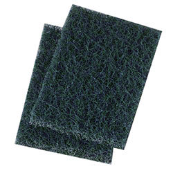 SCOURING PAD EXTRA HEAVY DUTY (4BX OF 10/CS)