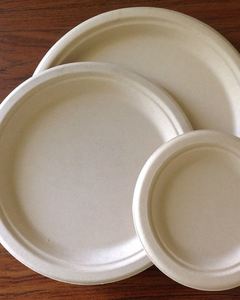9" ECO BAMBOO ROUND PLATE   500/CS