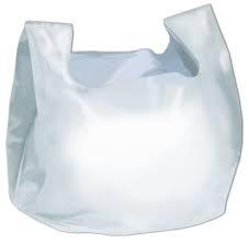 PARTY BAG  20X10X28  (250/CS)