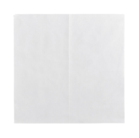 (11X15) PREMIUM BULK DELI (1700/CS)