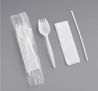 SPORK/NAP/STRW SCHOOL CUTLERY KIT   1000/CS