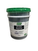 SCHULTZ DISH DETERGENT REJOICE 5GAL PAIL