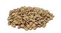 LENTIL20 LENTIL 20#