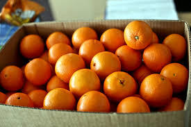 ORANGES 40# BOX (72 COUNT)