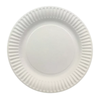 PP23500 PAPER PLATE COATED 7" WHITE   2/250/CS