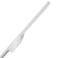 GIANT WRAPPED CLEAR STRAW 10.25"   4/500/CS