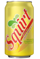 SQUIRT CANS 24 - 12OZ/CS