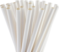 STR-PPRWHT-UWR 7.75" UNWRAPPED PAPER STRAW WHITE  (3M/CS)  6PK/500/CS